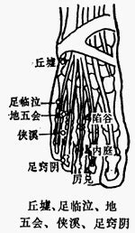 地根穴|醫砭 » 經穴庫 » 地五會